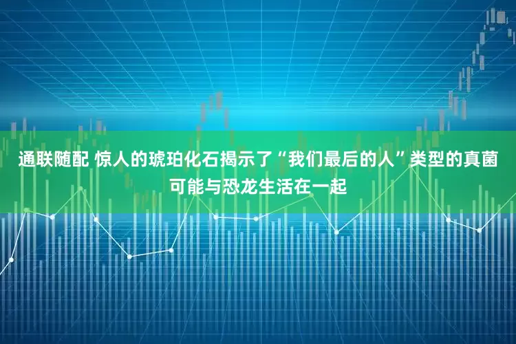 通联随配 惊人的琥珀化石揭示了“我们最后的人”类型的真菌可能与恐龙生活在一起