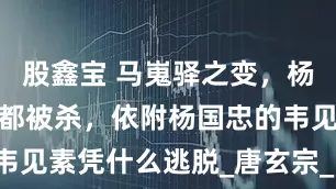 股鑫宝 马嵬驿之变，杨贵妃家人全都被杀，依附杨国忠的韦见素凭什么逃脱_唐玄宗_吐蕃_宰相