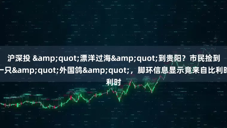 沪深投 "漂洋过海"到贵阳？市民捡到一只"外国鸽"，脚环信息显示竟来自比利时